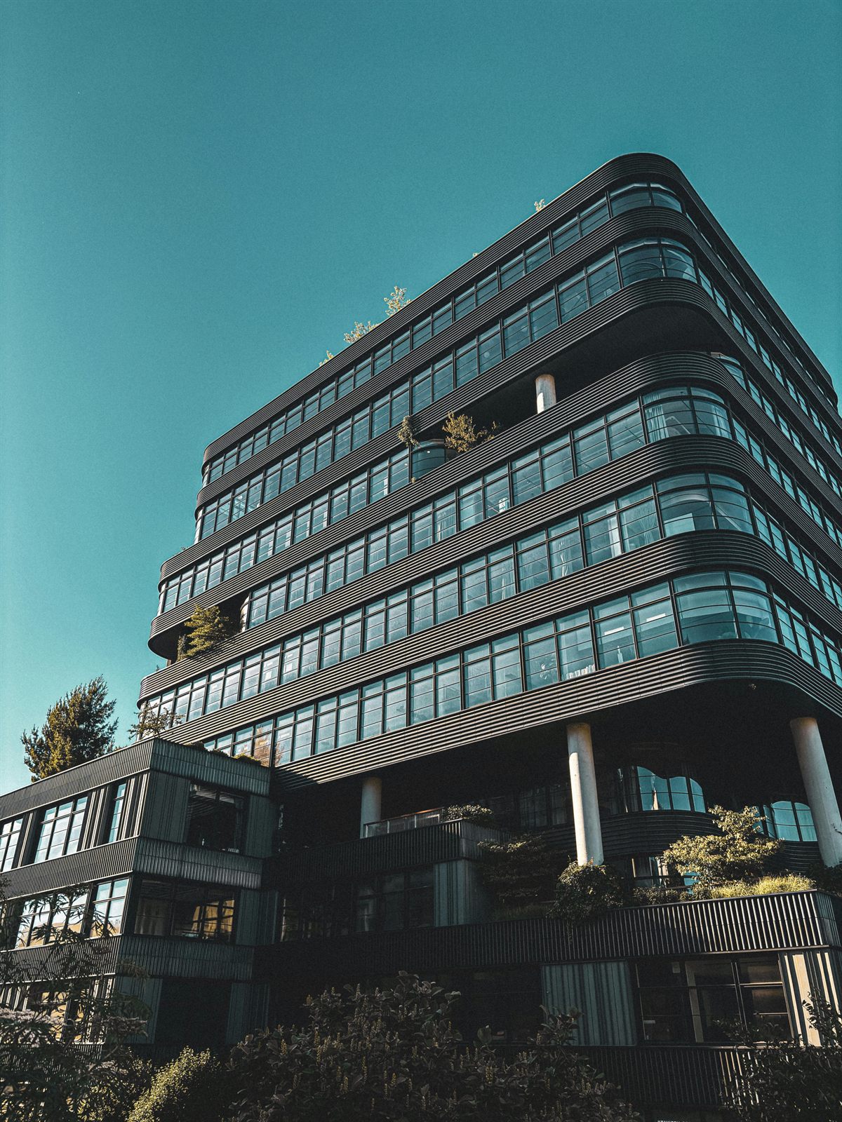 OperalCiti Bank office